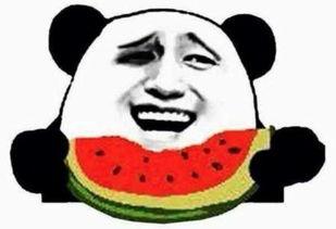 网红吃瓜群众免费吃瓜视频,揭秘热门视频幕后故事  第1张