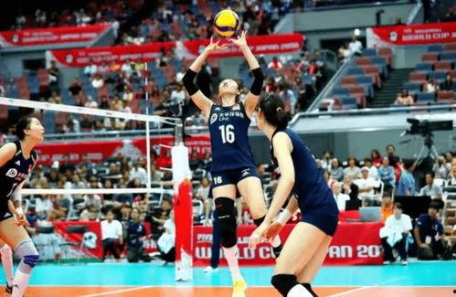 巴西女排爆料最新消息直播,揭秘备战奥运的幕后故事