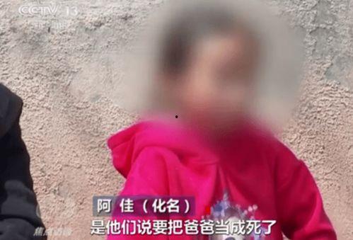 爆料恶劣网红视频大全集,恶劣网红视频大全集深度剖析